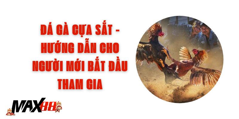 Đá Gà Cựa Sắt