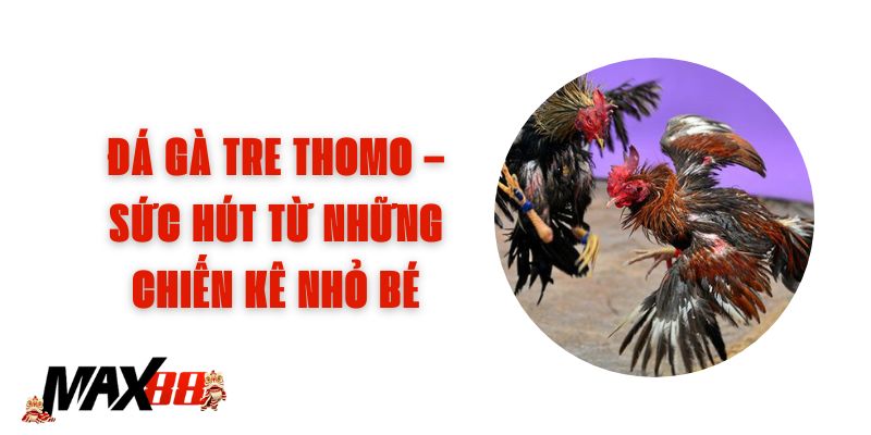 Đá Gà Tre Thomo